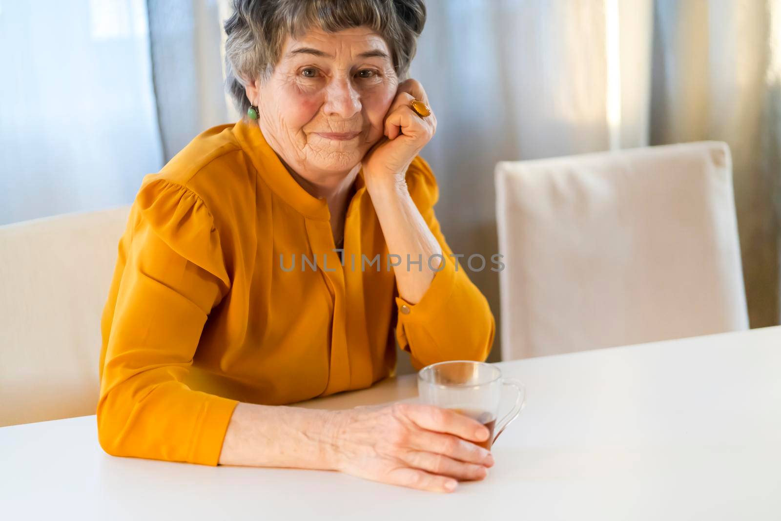 A portrait of a laughing, smiling elderly woman with gray hair and wrinkles on her face, but young at heart and leading an active lifestyle. Happy pensioner is pretty posing in her cozy home.