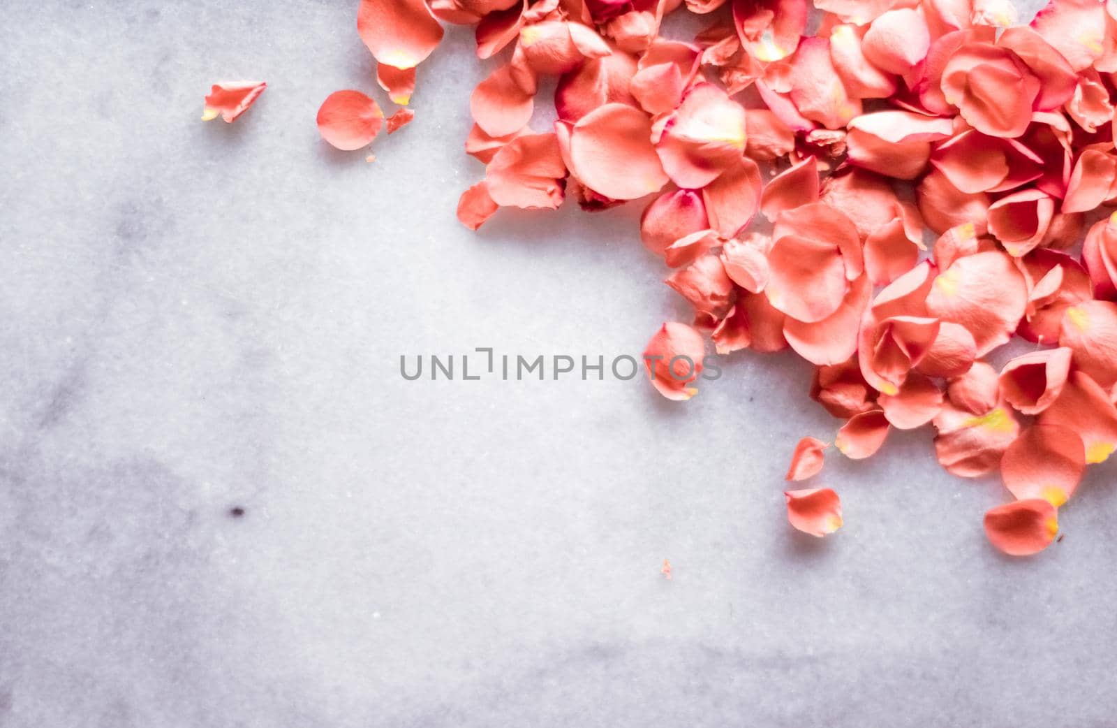 coral rose petals on marble, color of the year - flower backgrounds and holidays styled concept