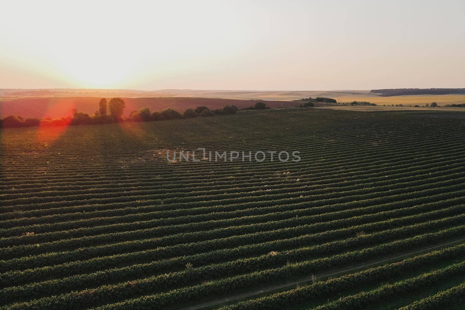 Aerial shot of scenic sunset over horizon with beautiful fields