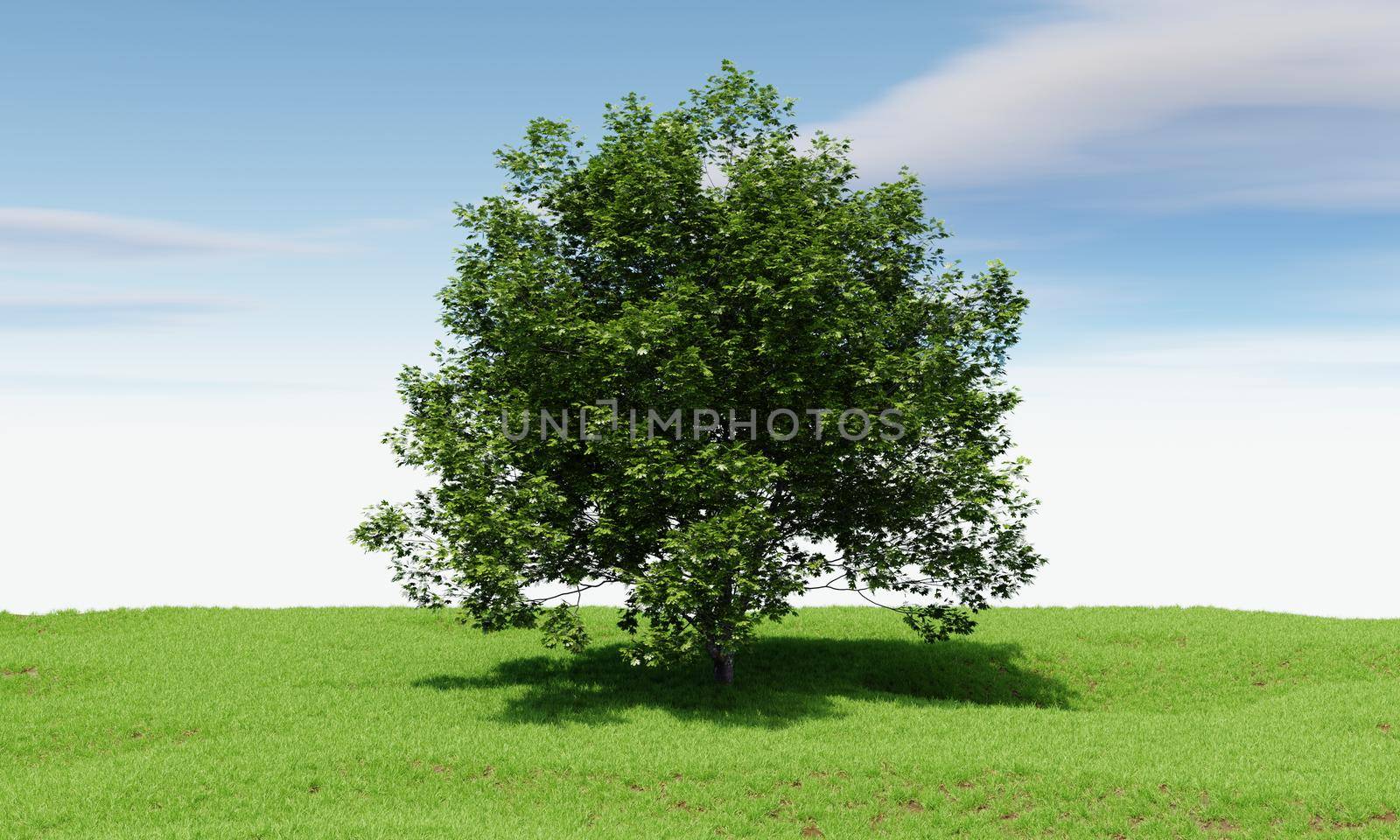 Big tree with blue sky background. Nature and landscape concept. 3D illustration rendering