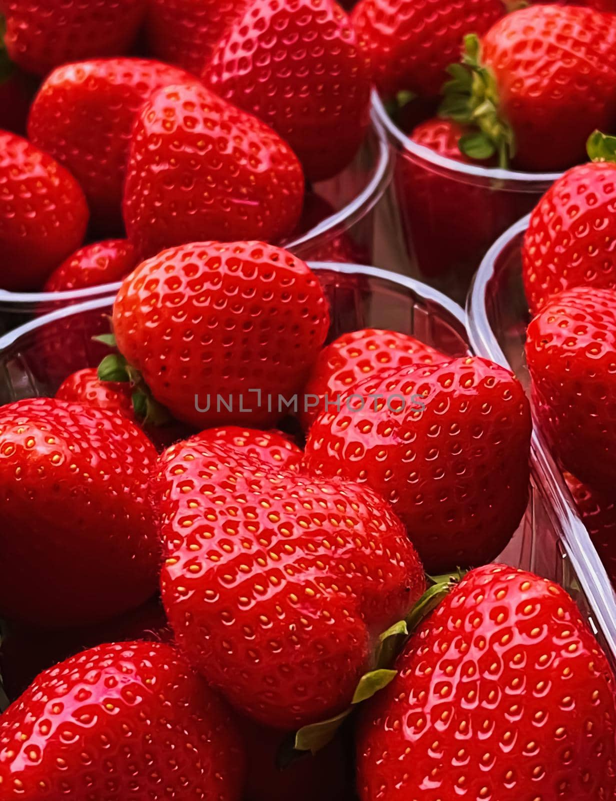 Strawberries packaged in box, sweet ripe perfect strawberry harvest, organic garden and agriculture concept