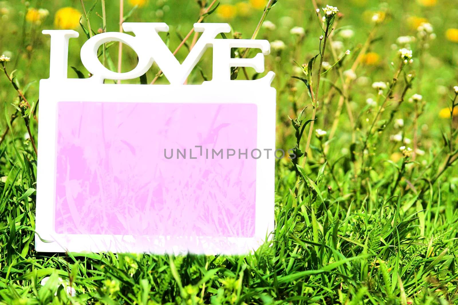 Pink love frame on green grass with white and yellow flowers by jovani68