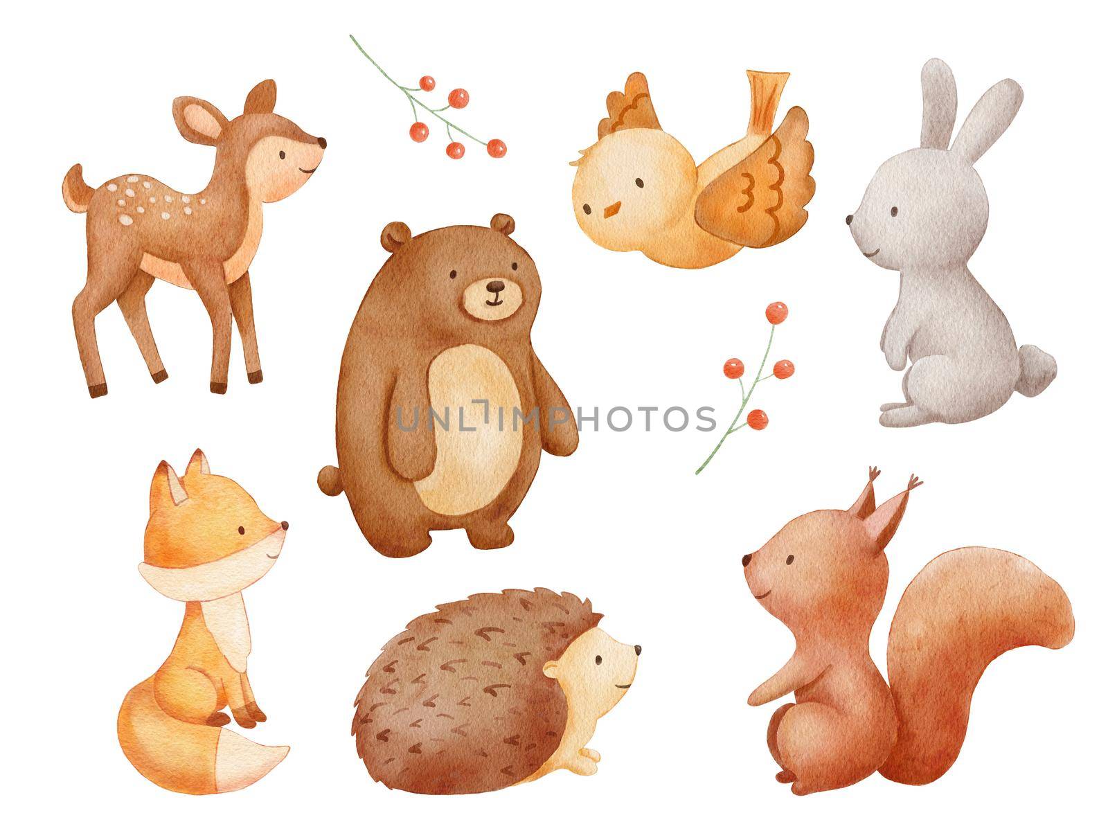 Set of Watercolor cute forest animals. Hand drawn character woodland baby animal isolated on white background. Deer,bird, bear and hedgehog by ElenaPlatova