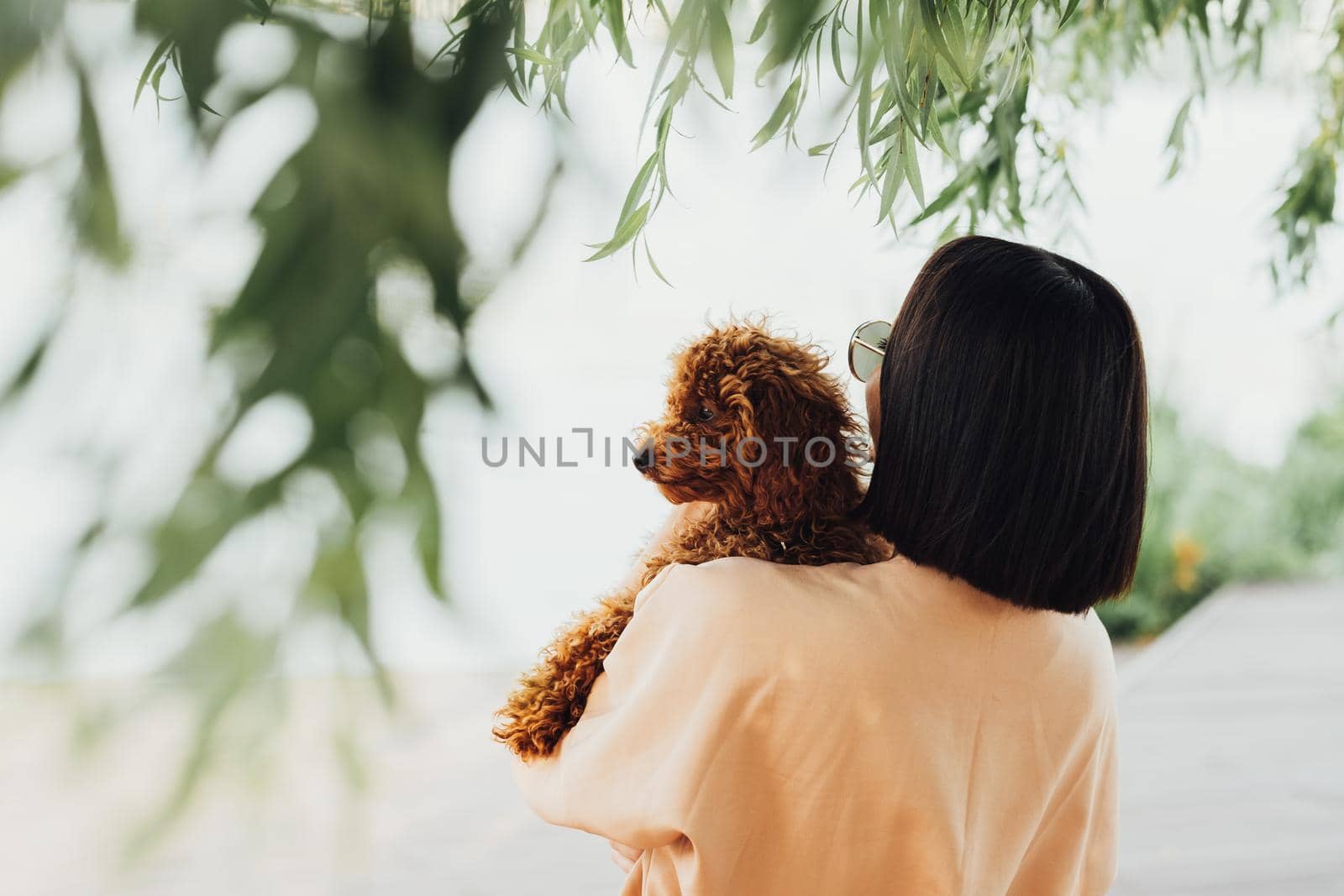 Young brunette woman holding and hugging her little redhead dog breed toy poodle
