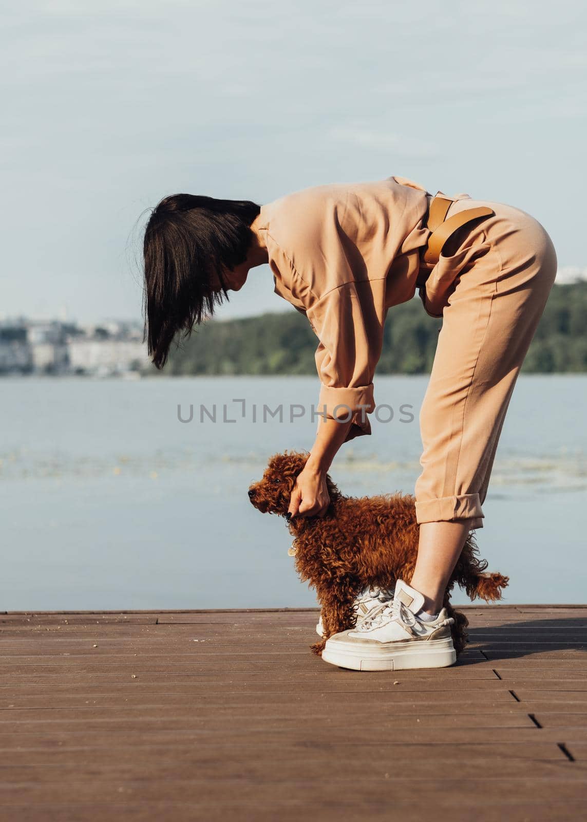 Redhead dog breed toy poodle walking with woman outdoors, female owner of little four paws pet by Romvy