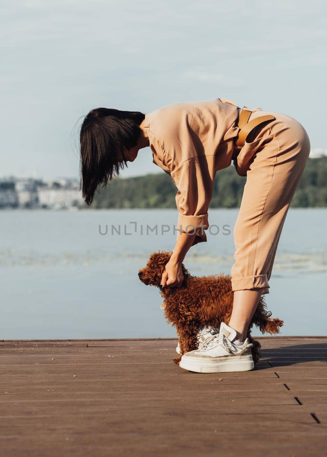 Redhead dog toy poodle walking with woman outdoors, female owner of little four paws pet