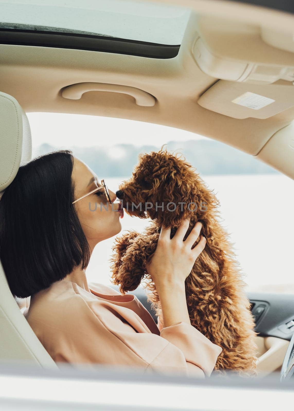 Young brunette woman is a happy owner of redhead dog toy poodle, sitting inside car and kissing her four paws pet by Romvy