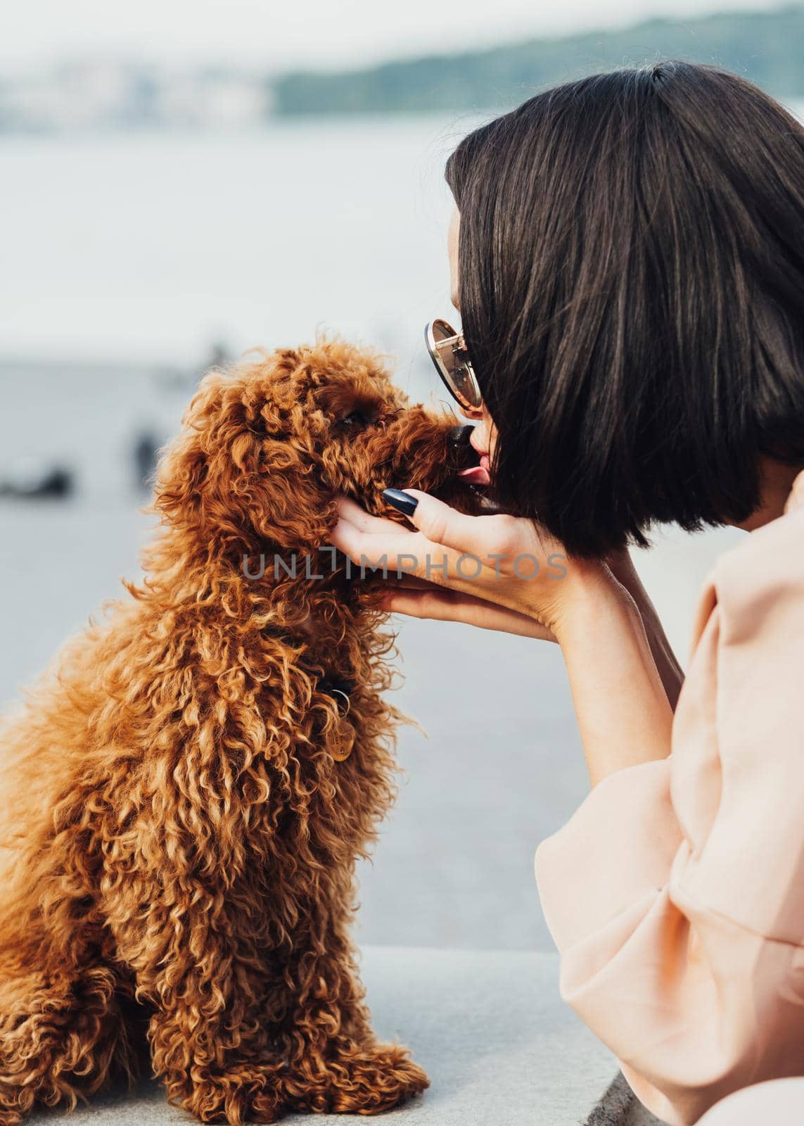 Brunette woman kissing her little pet, redhead dog breed toy poodle outdoors by Romvy