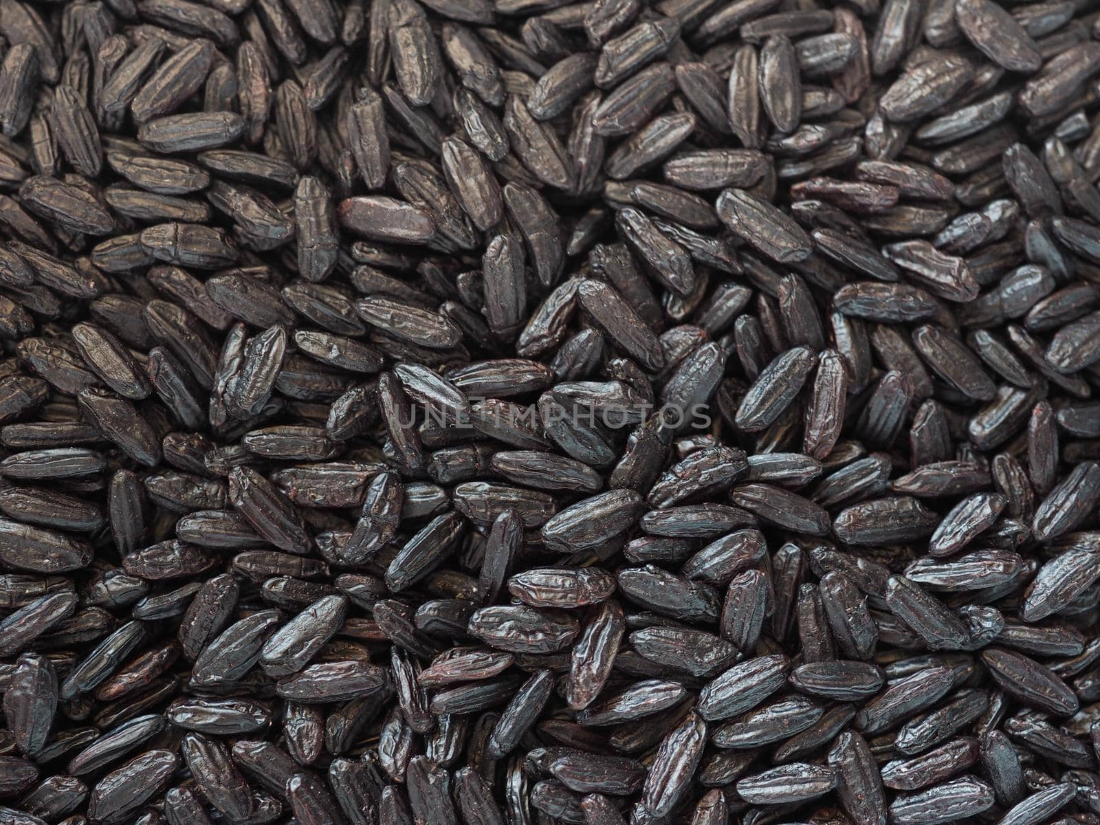 venus black rice medium grain Italian and Chinese crossbreeding variety