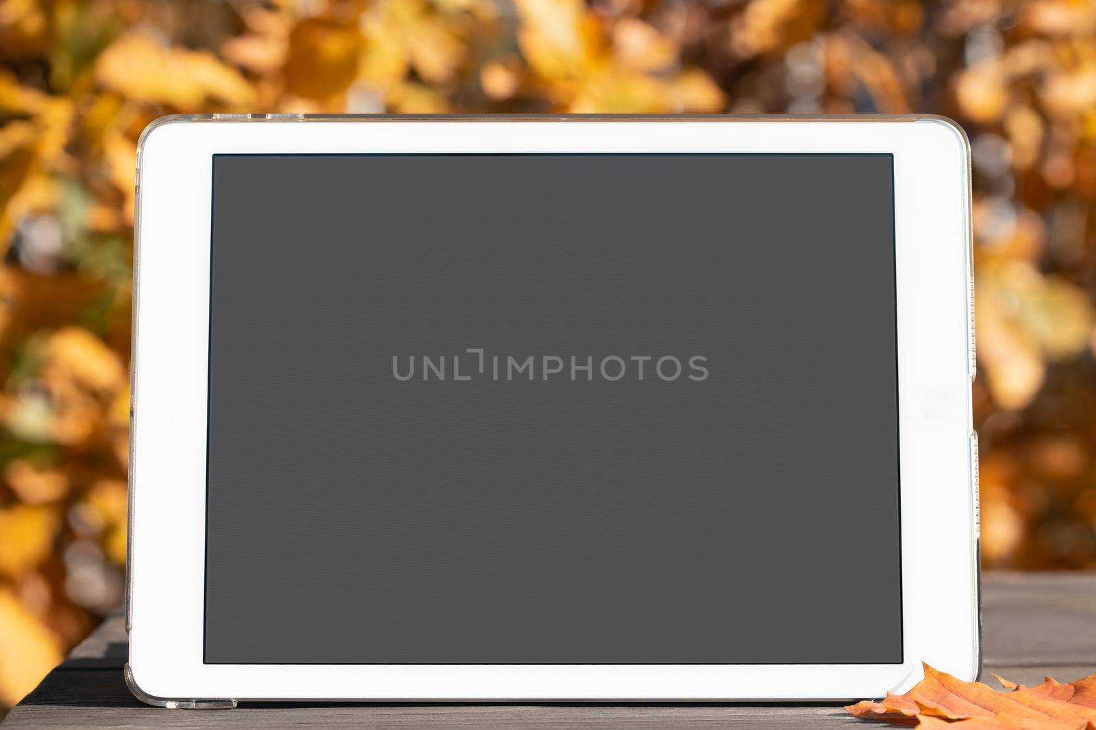 Tablet with a blank screen on the table against the backdrop of an autumn park. Template for design or advertising by galsand