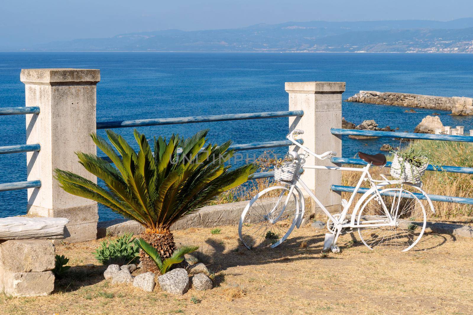 Small palm tree and old bycicle with flower decoration on calabria seaside. Sunny summer day