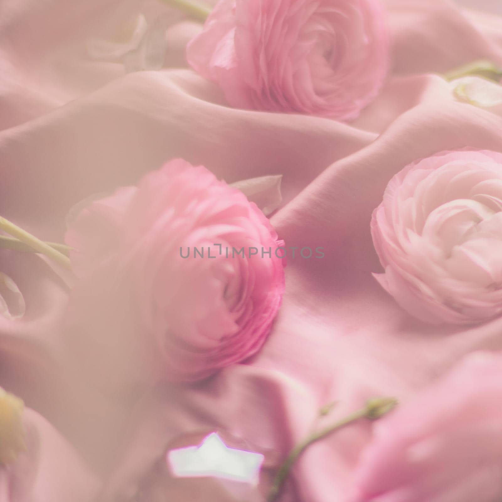 pink rose flowers on soft silk - wedding, holiday and floral background styled concept by Anneleven
