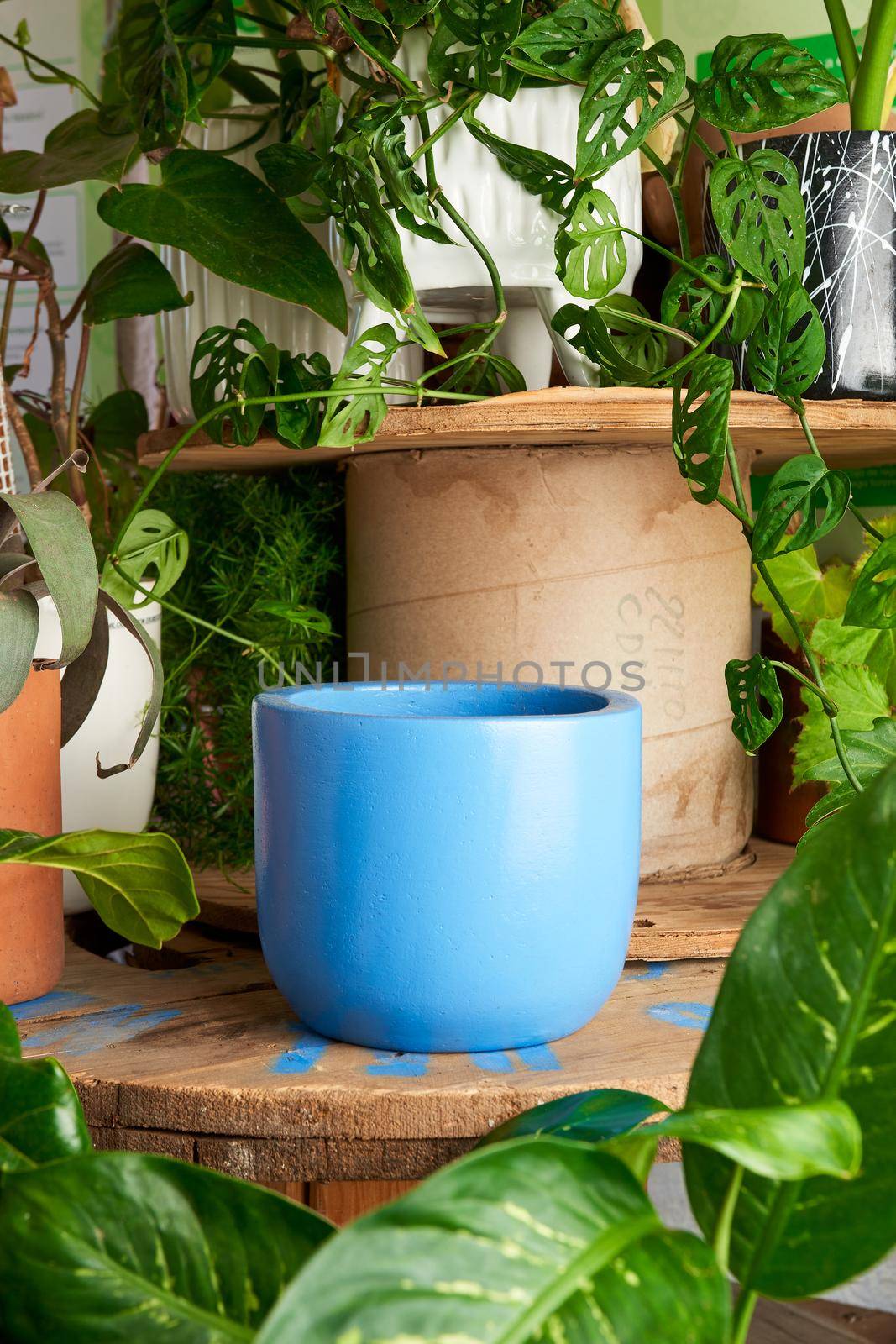 blue clay pot for plants on a wooden table by JpRamos
