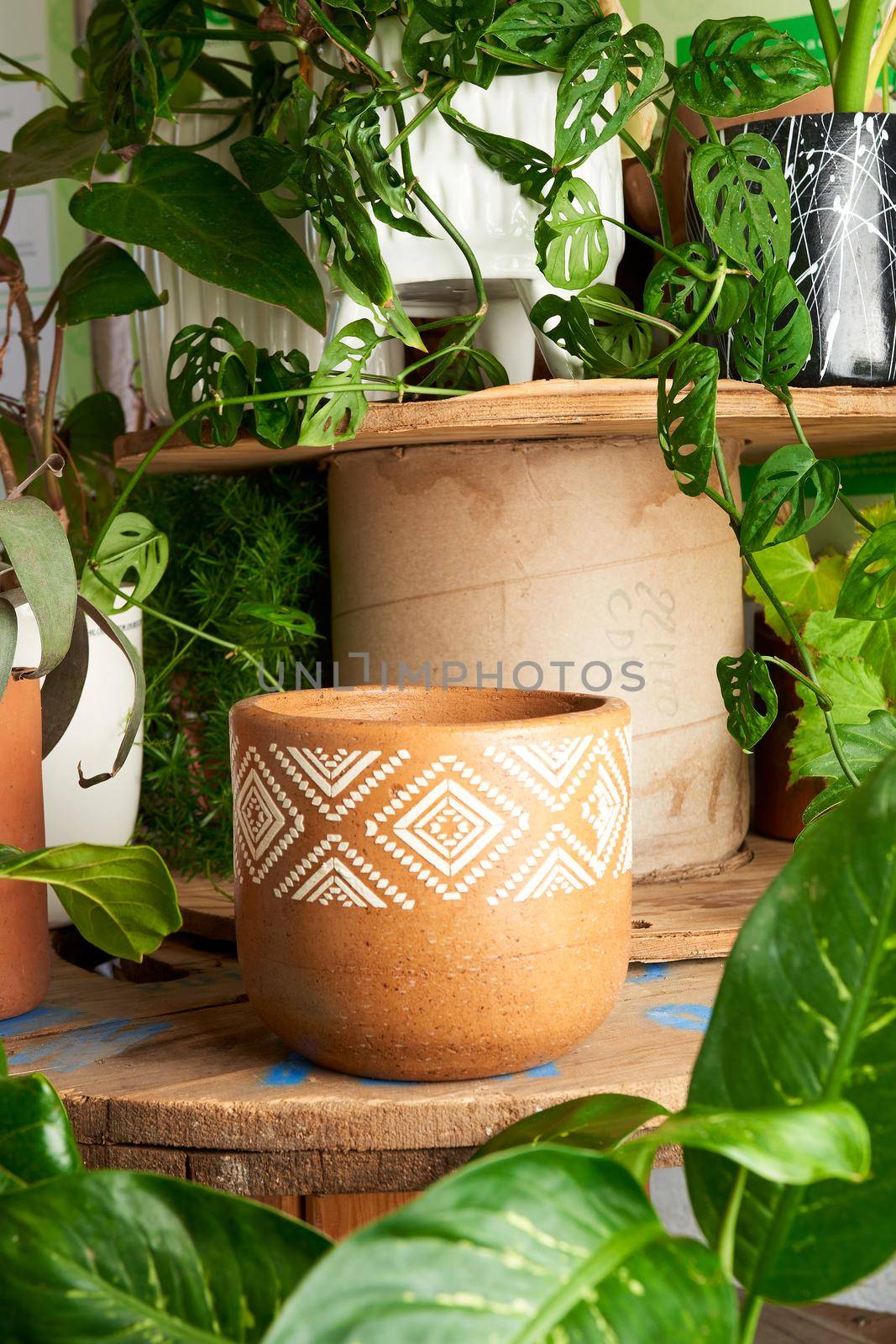 earthenware pot for plants on a wooden table with green plant background. catalog of plant pots. clay pot for plants.