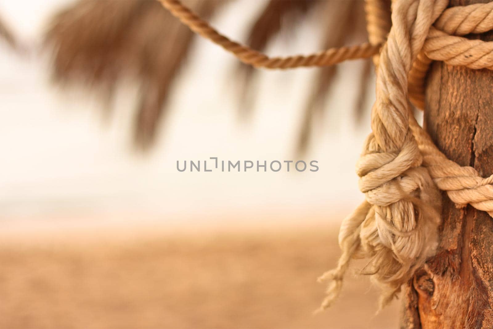 beach umbrella - travel, vacation and summer holidays concept, elegant visuals