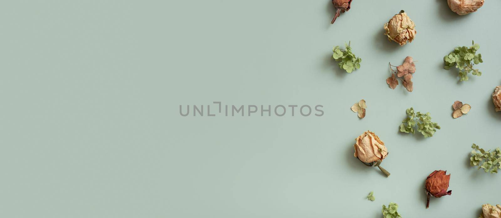 Banner with autumn pattern flat lay with from dried hydrangea flowers, roses and petals on pastel green colored background. Top view, copy space.