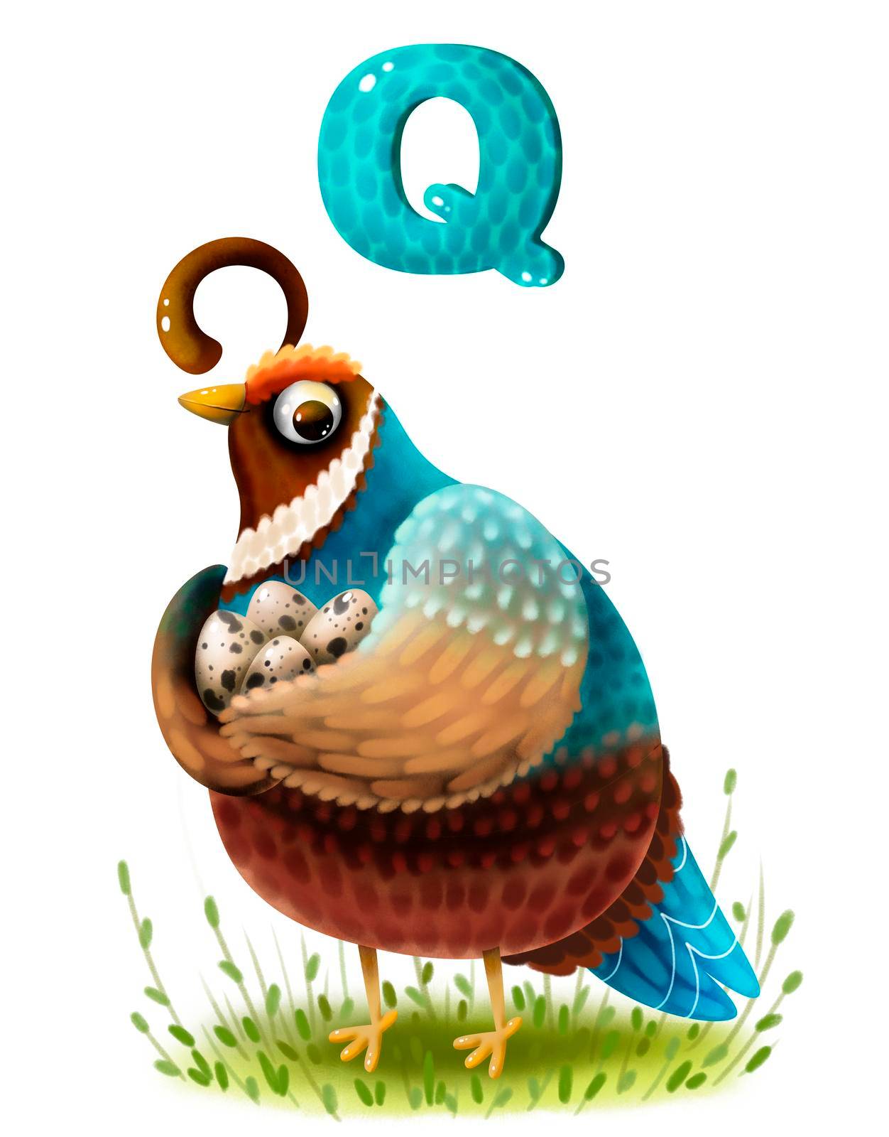 Cute cartoon quail with eggs and with the letter of the alphabet in 5k