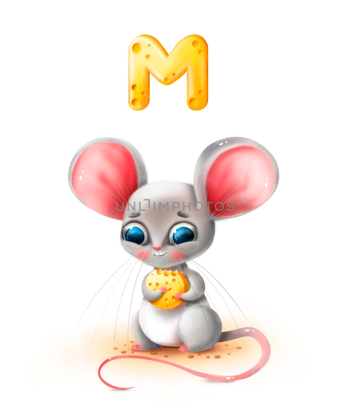 Cute cartoon mouse holds cheese on a white background by studiodav