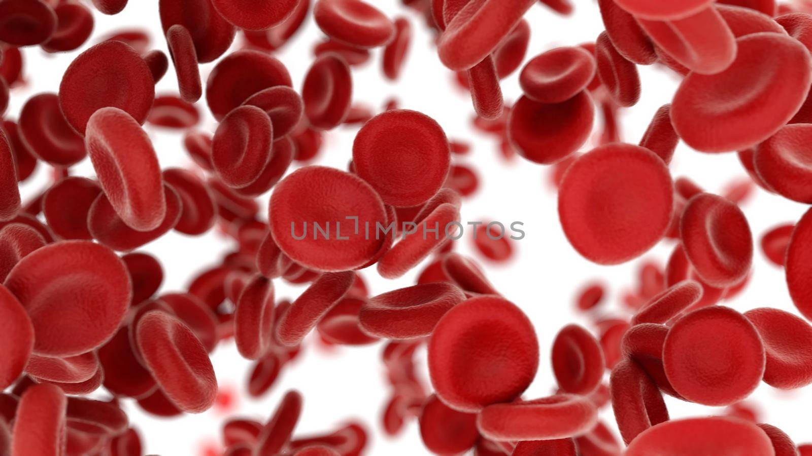 3d rendering Blood cells flying through arteries on white background 4K