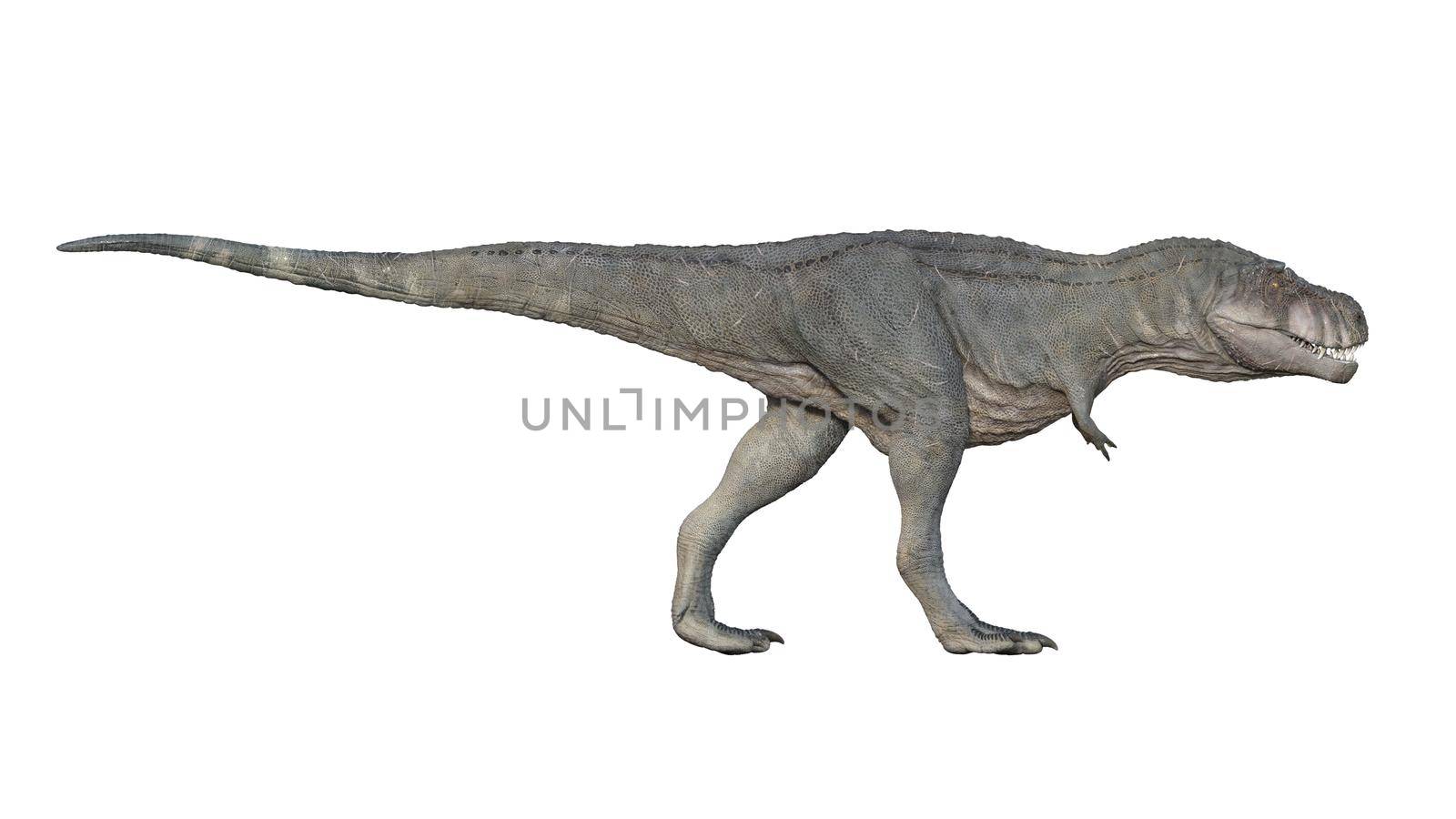 3d render of Tyrannosaurus rex on a white background 4K