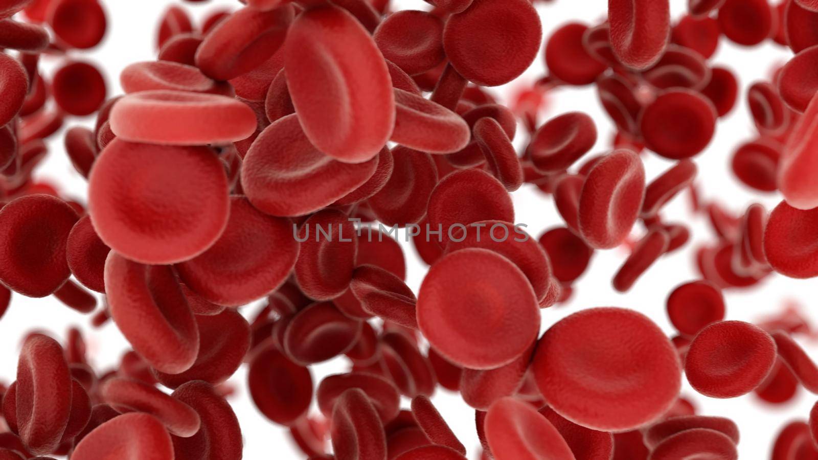 3d rendering Blood cells flying through arteries on white background by studiodav