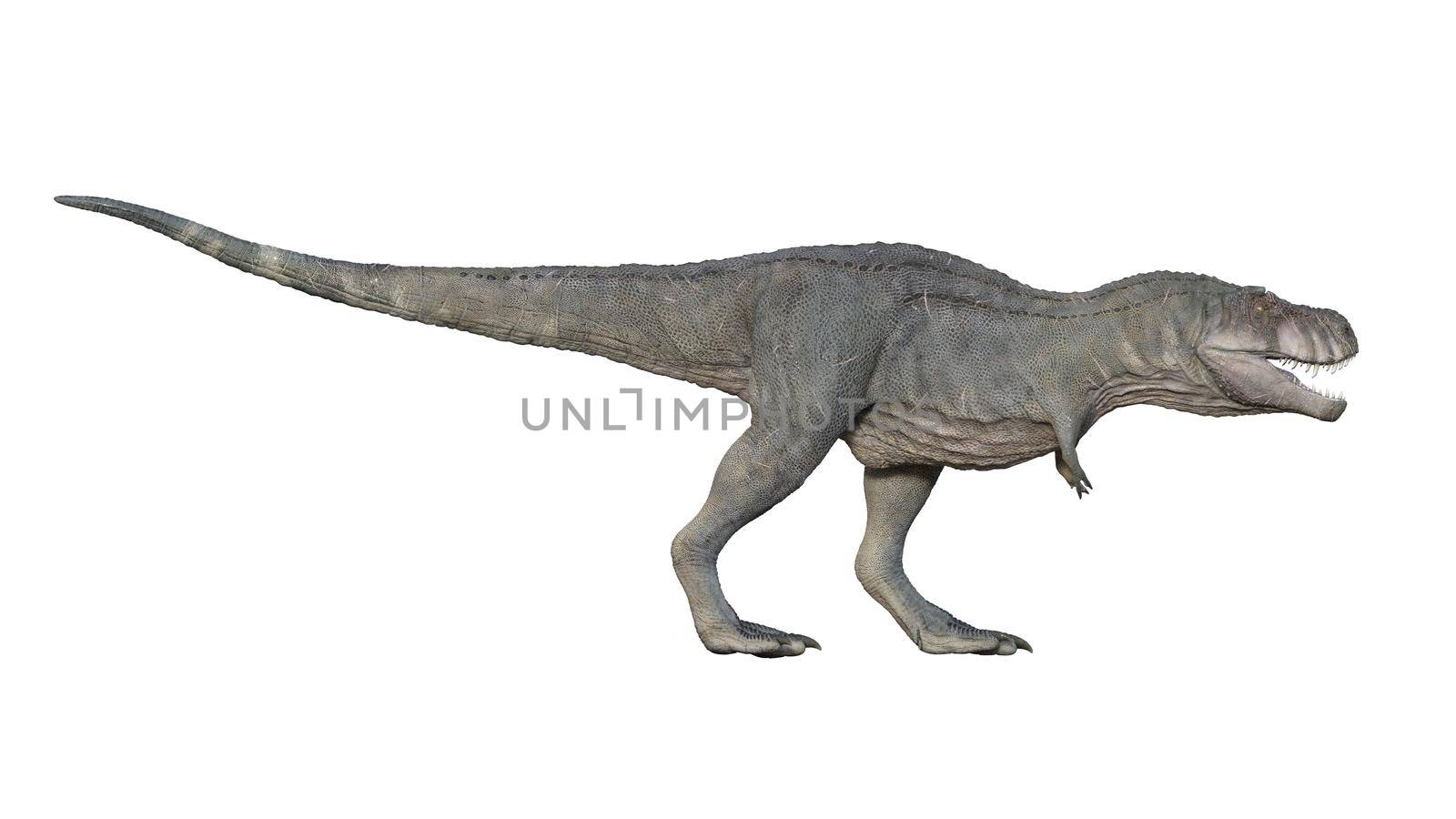 3d render of Tyrannosaurus rex on a white background 4K