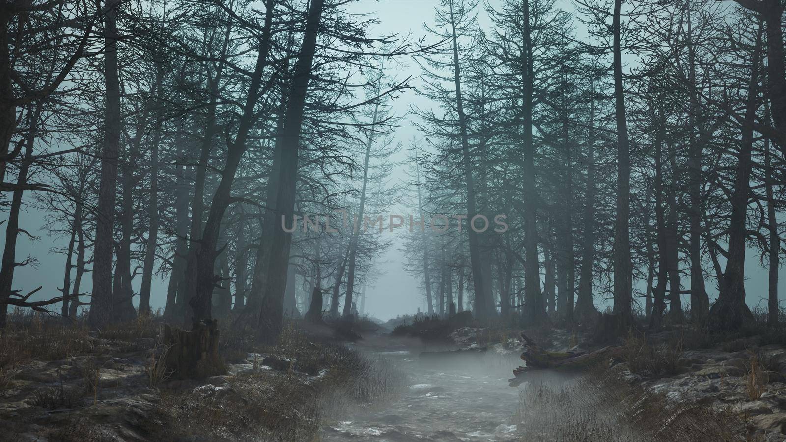 3d render of a daytime scary forest with fog in 4k