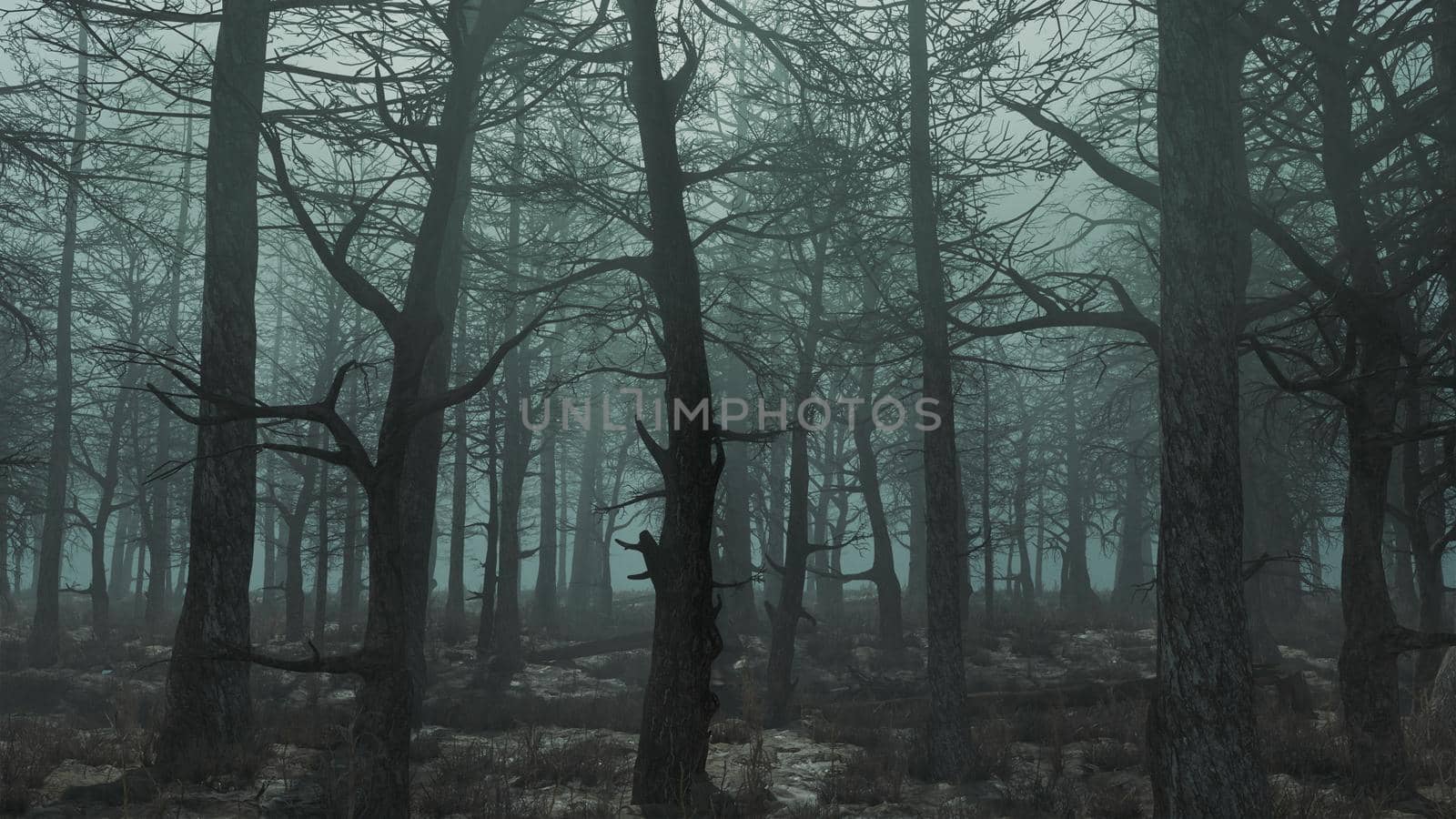 3d render of a gloomy day forest side view by studiodav