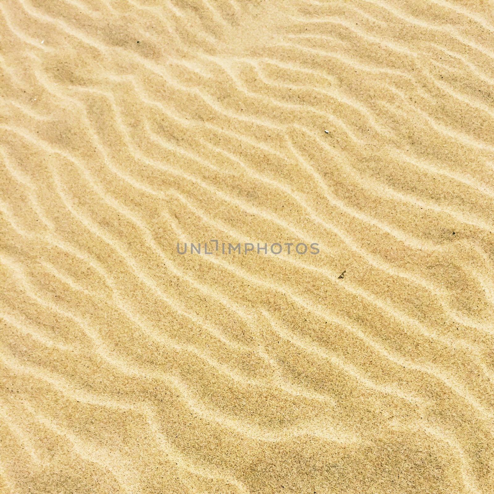 beach sand - travel, seascape, vacation and summer holidays concept, elegant visuals