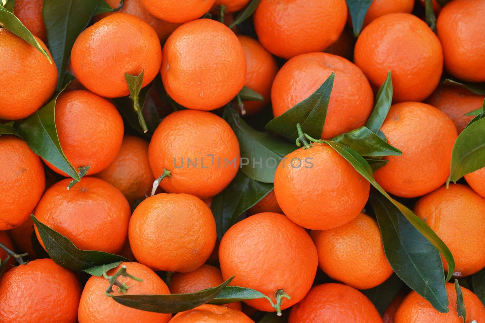 Bunch of fresh oranges at a market
