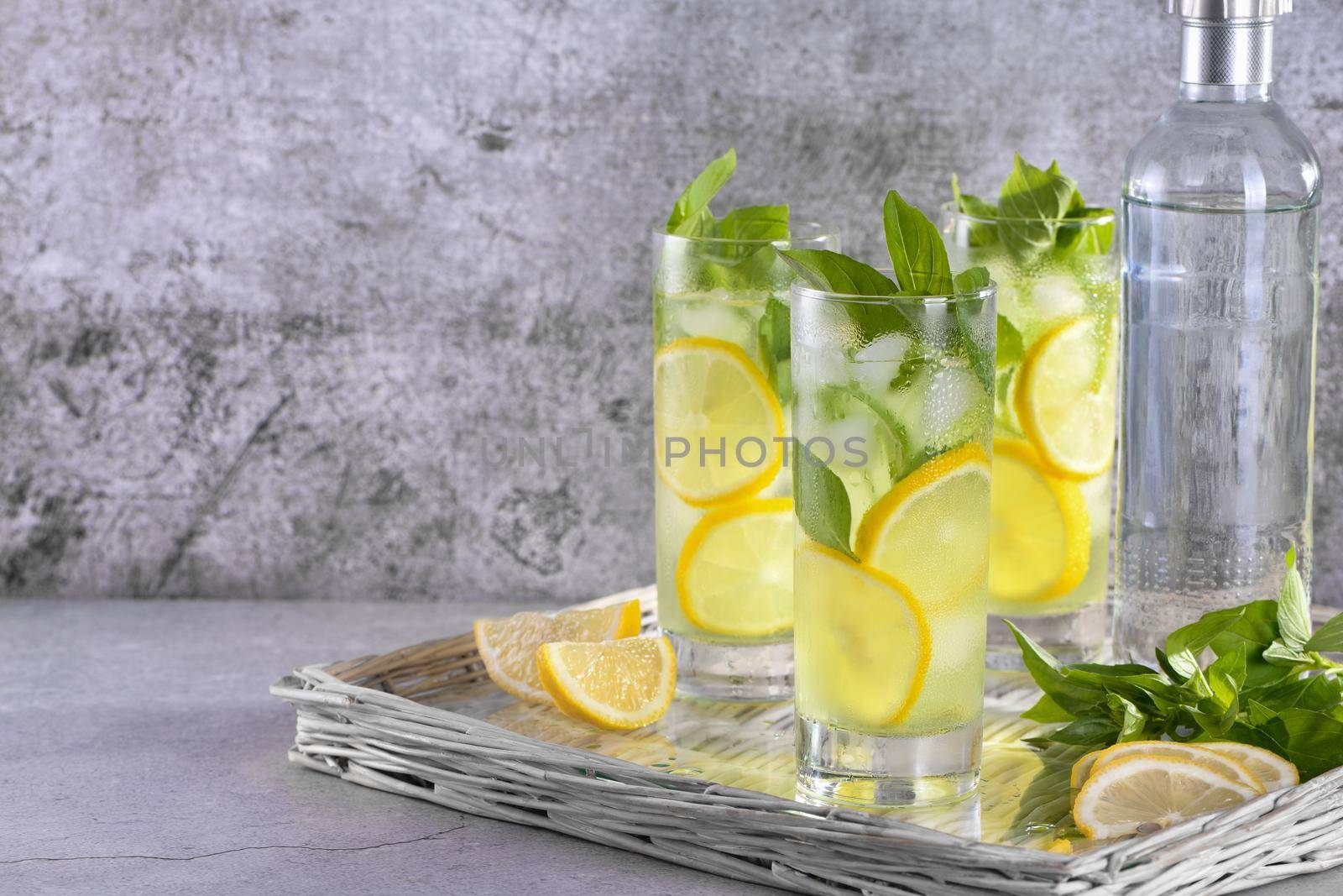 Basil Lemon Gin and Tonic by Apolonia