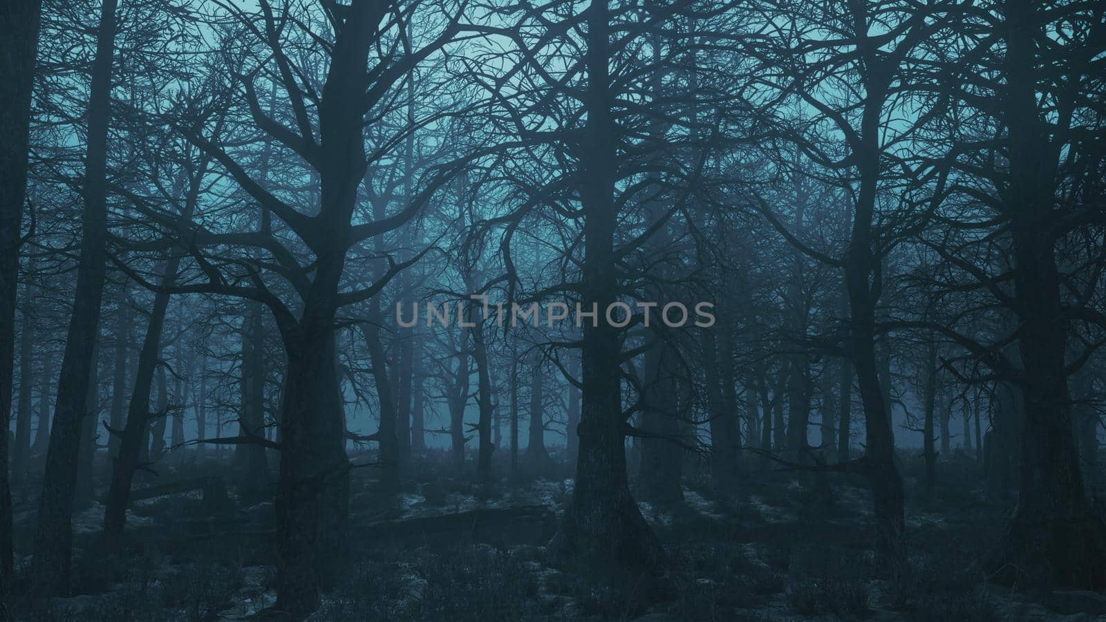 3d render gloomy night forest side view by studiodav
