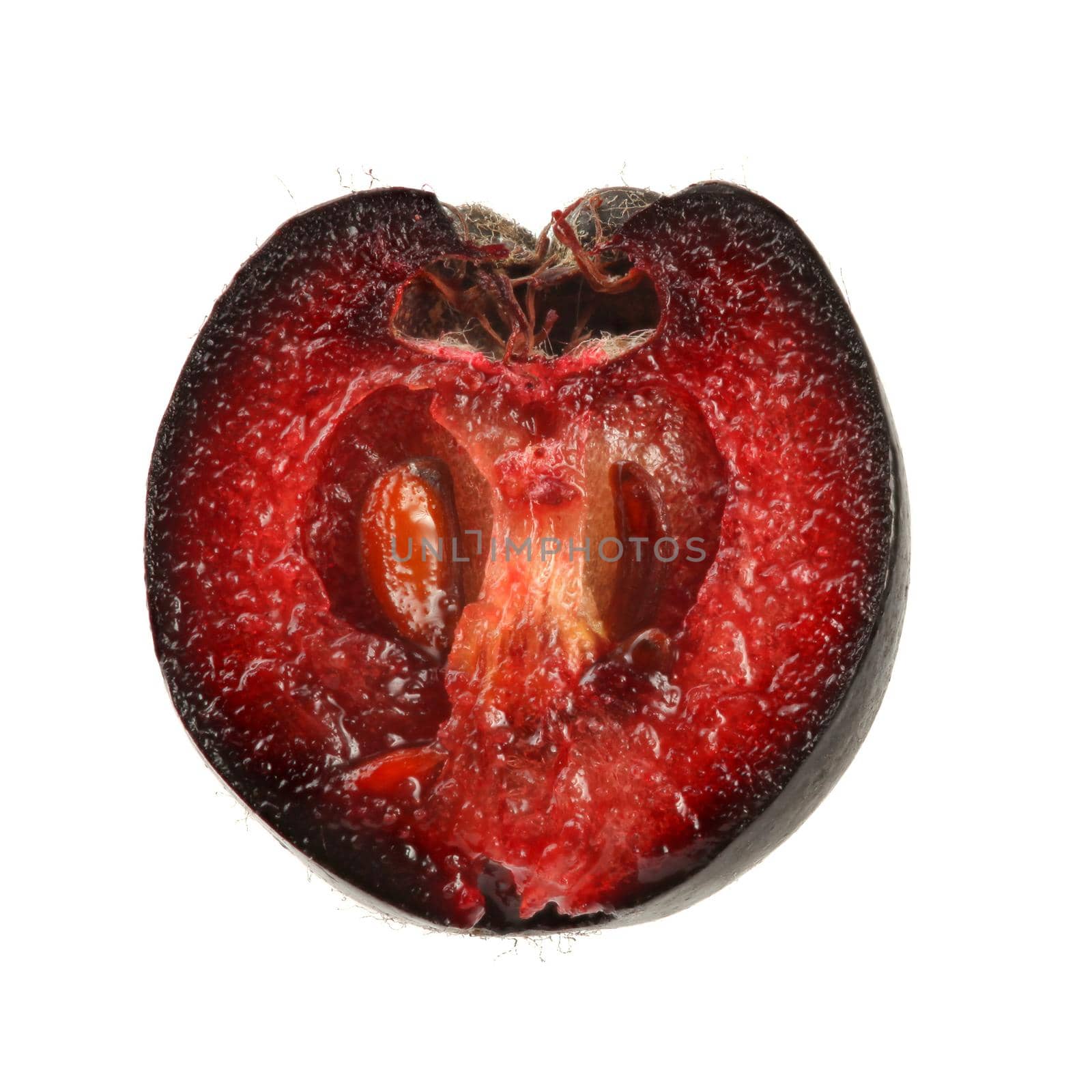 Aronia (chokeberry) fruit cut in half, isolated on white background. Close up detail.