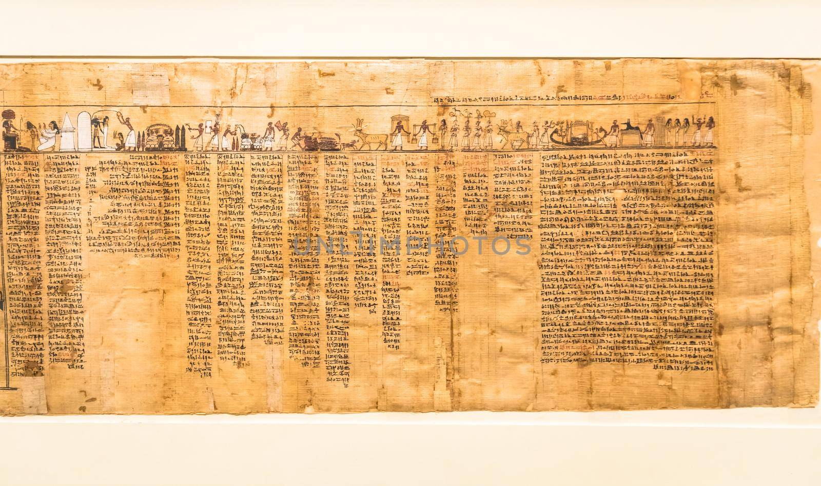 TURIN, ITALY - CIRCA MAY 2021: ancient Egyptian papyrus with hieroglyphic funerary text. Circa 1550 BC antique manuscript.