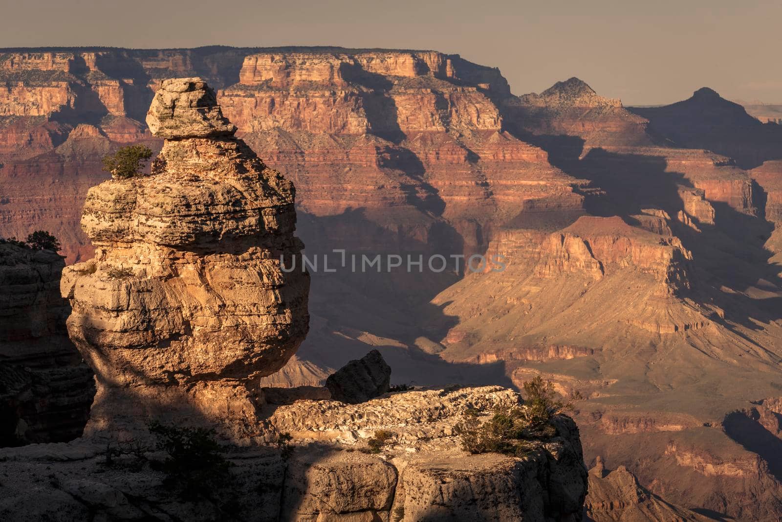 Grand Canyon south rim and boulder at golden sunset, Arizona, United States