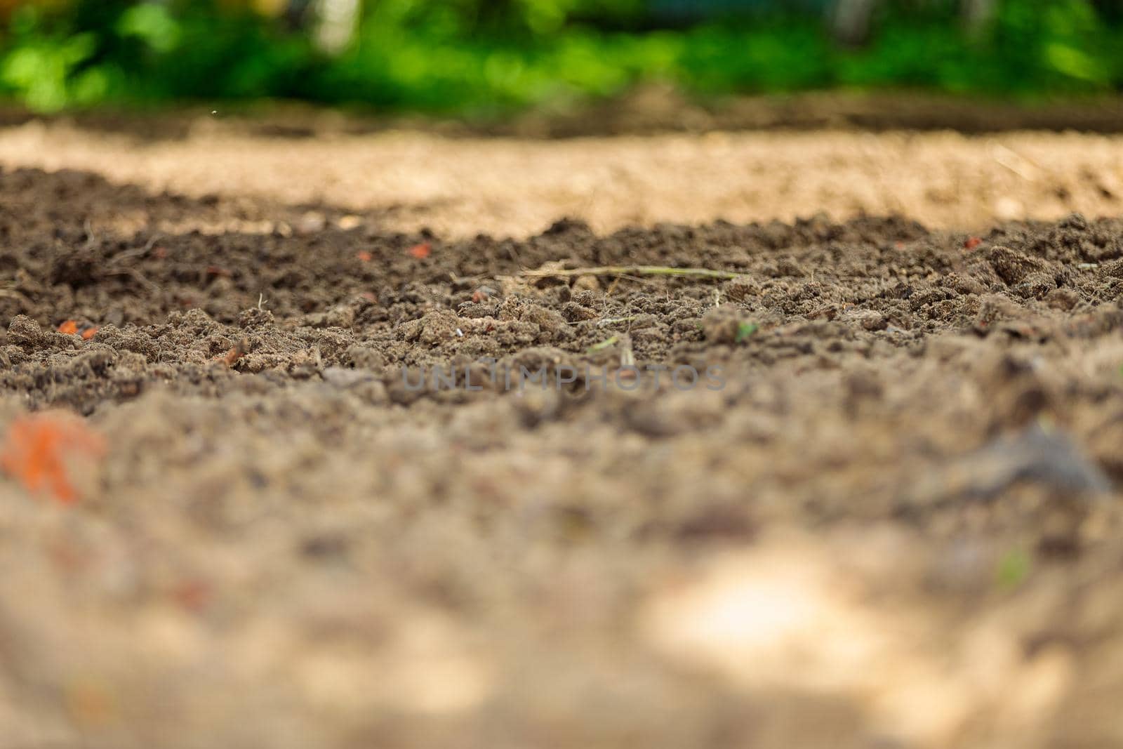 Plowed land, agricultural work. Leveling the soil on the site.Close-up.