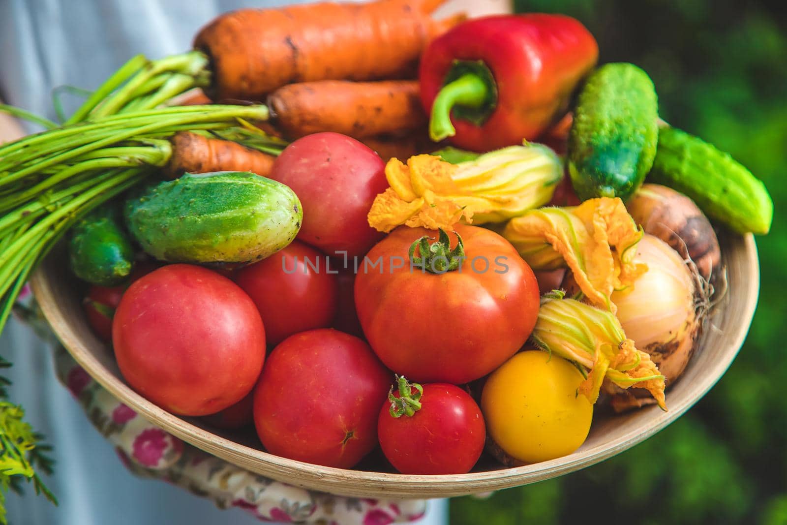 Farmer woman harvests vegetables in the garden. Selective focus. Food.