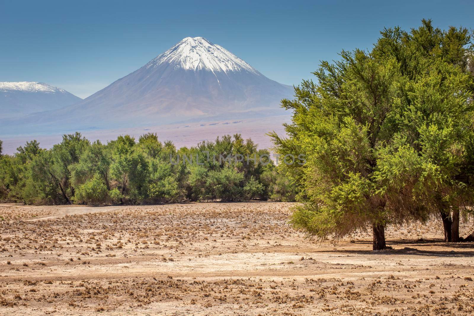 Licancabur volcano at sunny day, San Pedro de Atacama, Desert arid landscape, Chile, South America