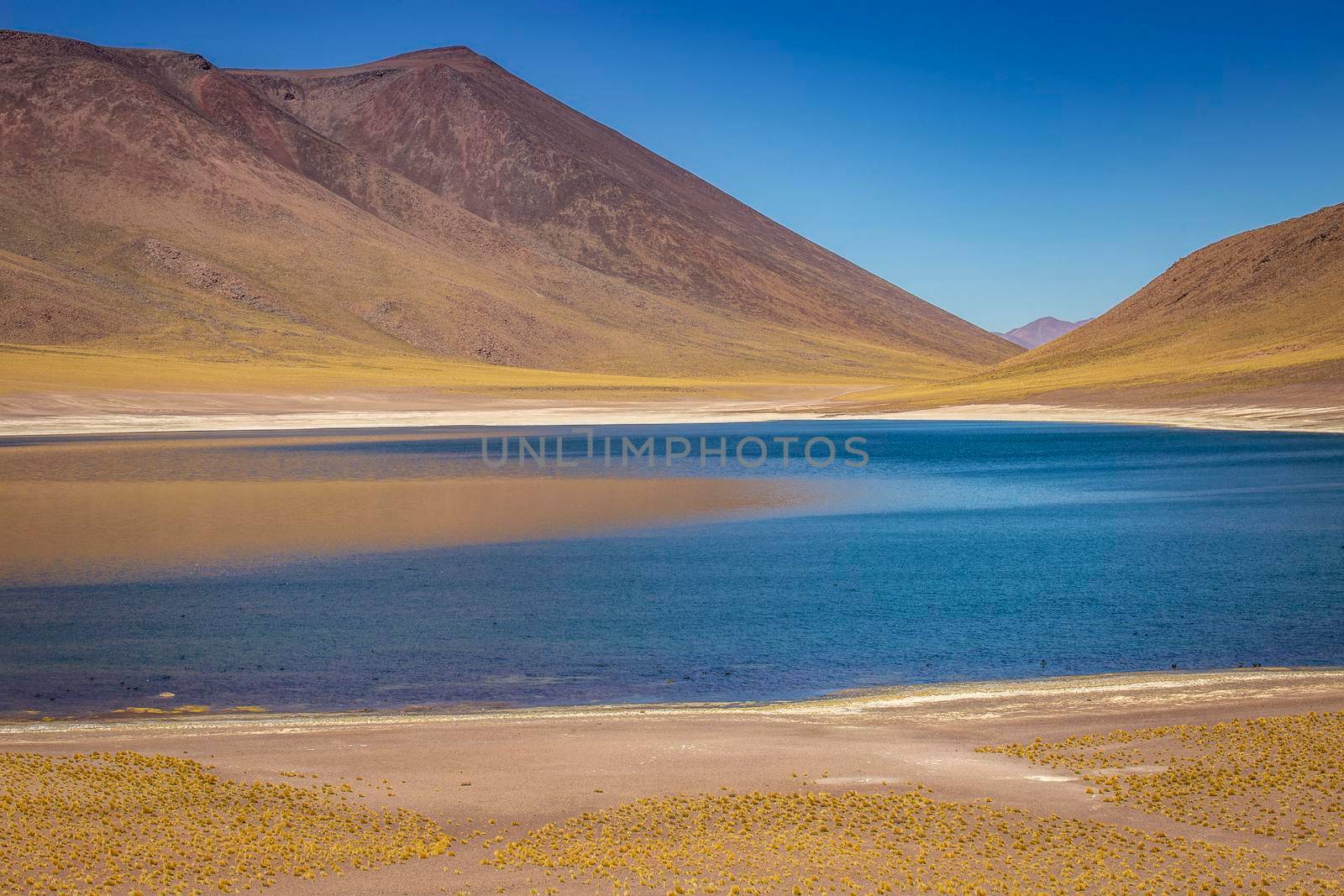 Turquoise laguna Miniques, salt lake in Atacama desert, volcanic landscape, Chile, South America