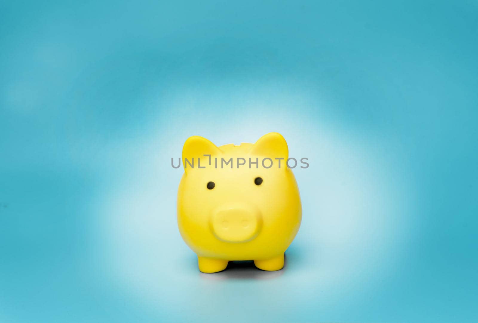 Yellow piggy bank on blue background by Buttus_casso