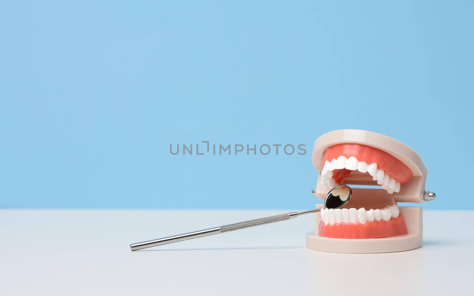 plastic model of human jaw with white even teeth and a medical examination mirror on a white table