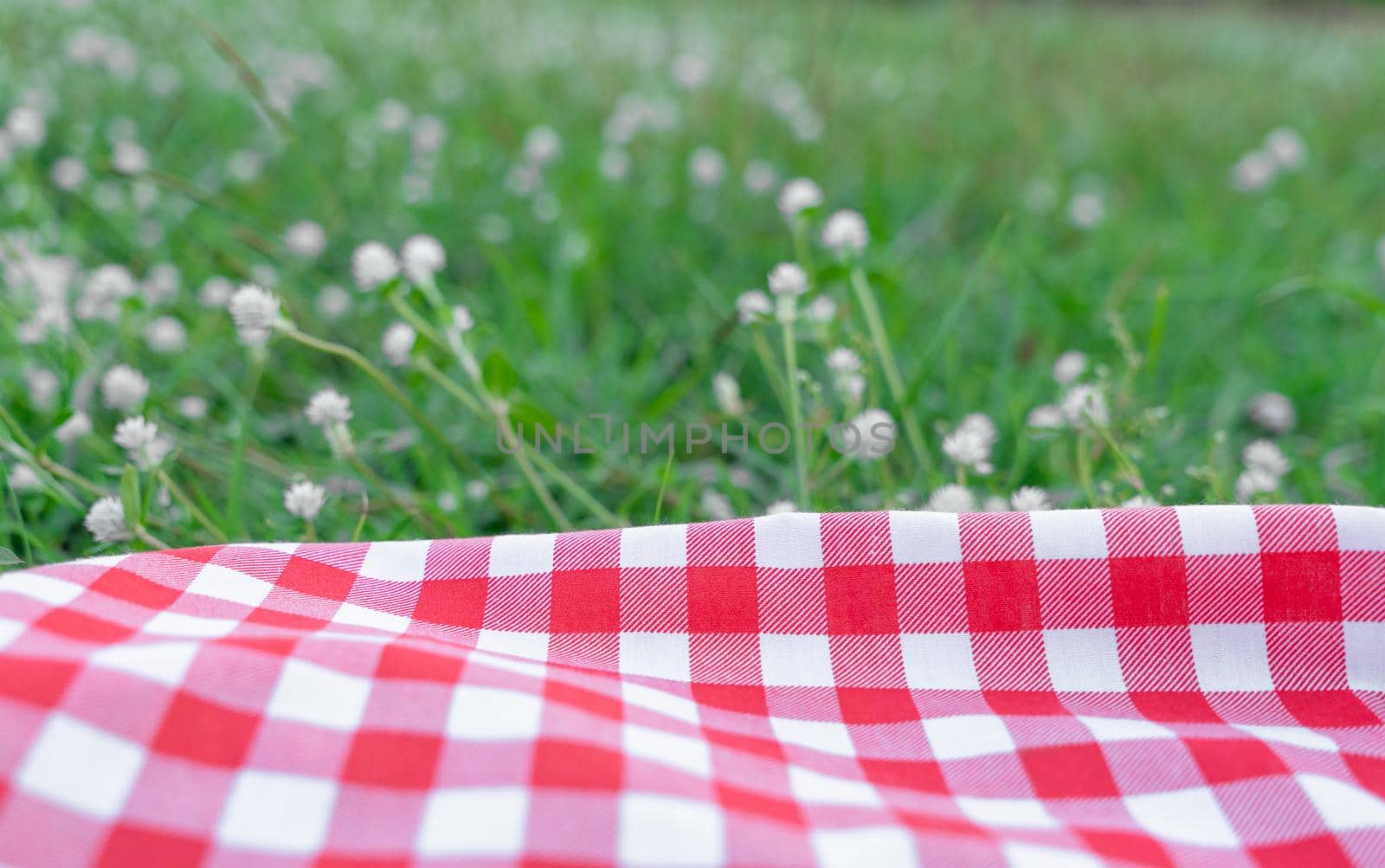 Red checkered tablecloth texture with on green grass at the garden by Buttus_casso