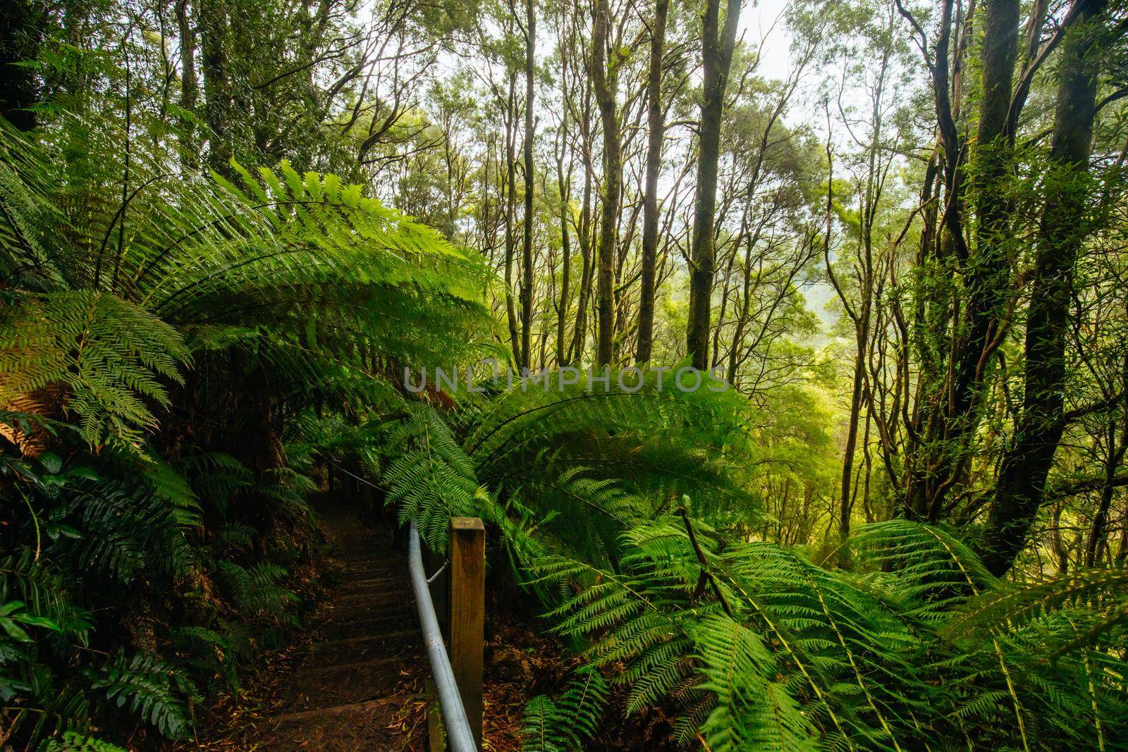 The popular Hopetoun Falls and surrounds after fierce winter storms near Lorne, Victoria, Australia