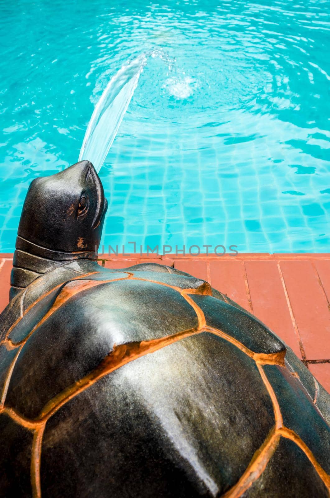 The sculpture of a turtle spewing water into the pool