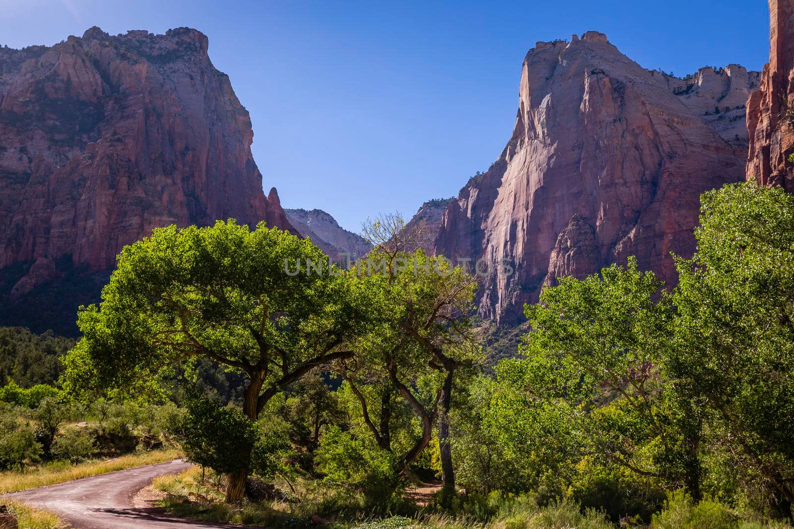 Zion National Park dramatic landscape at sunny day, Utah, United States
