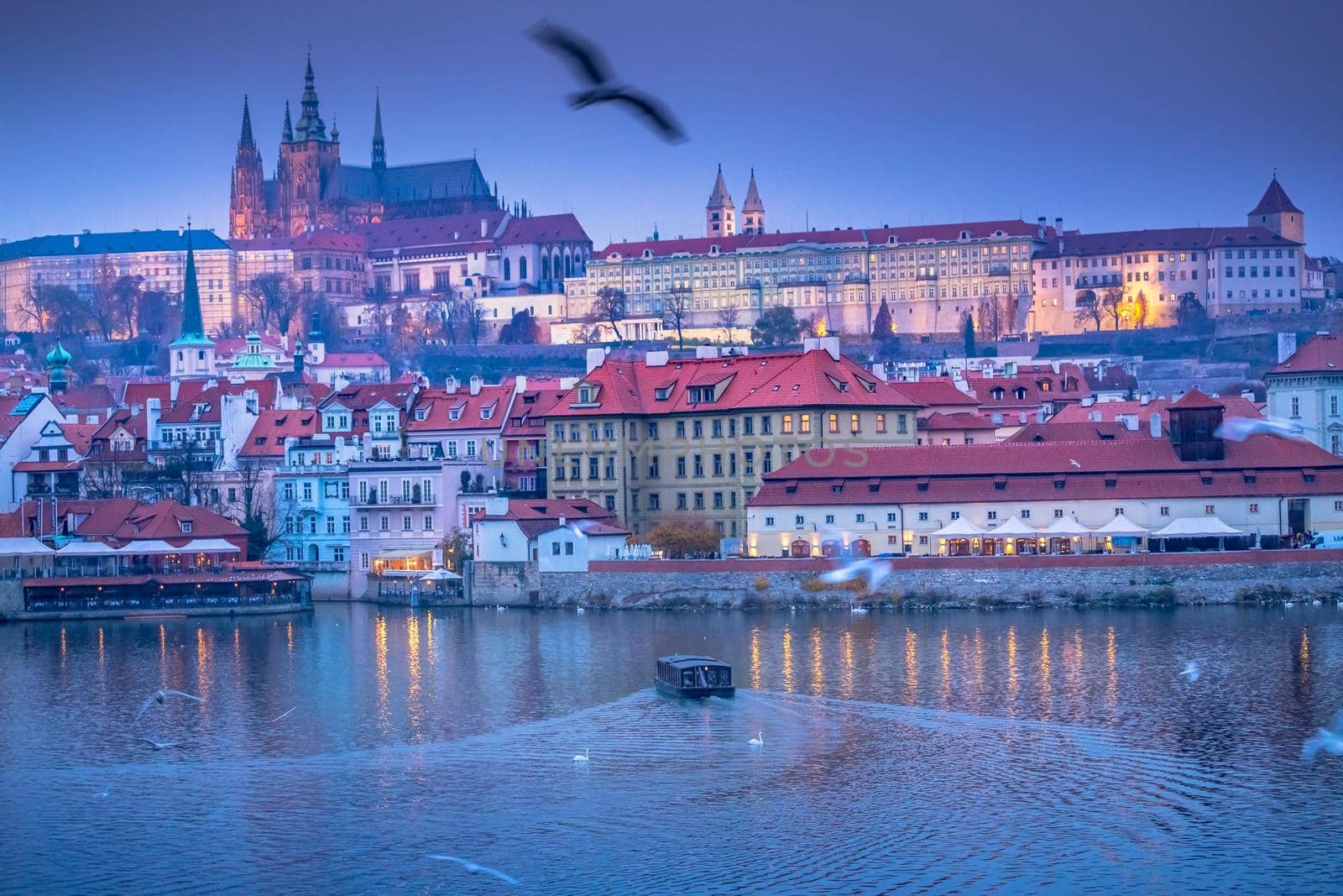 Charles bridge at dramatic evening with doves, Prague old town, Czech Republic