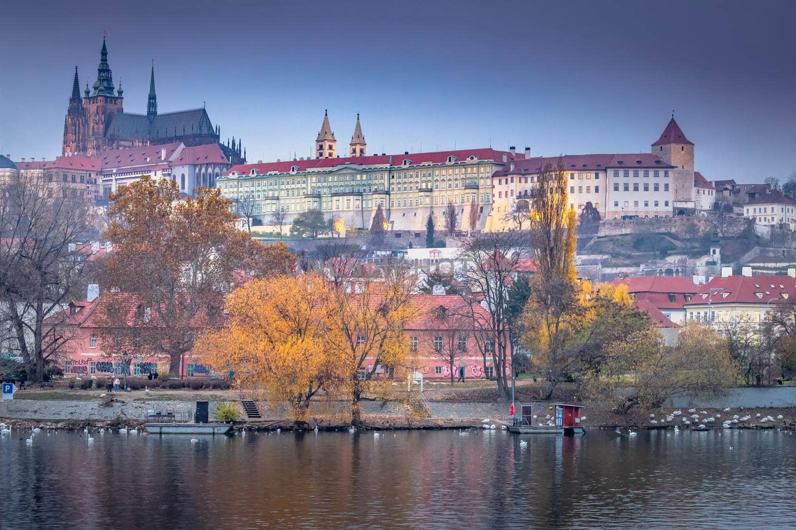 Hradcany quarter, St Vitus Cathedral and Vltava river at dusk with swans, Prague, Czech Republic