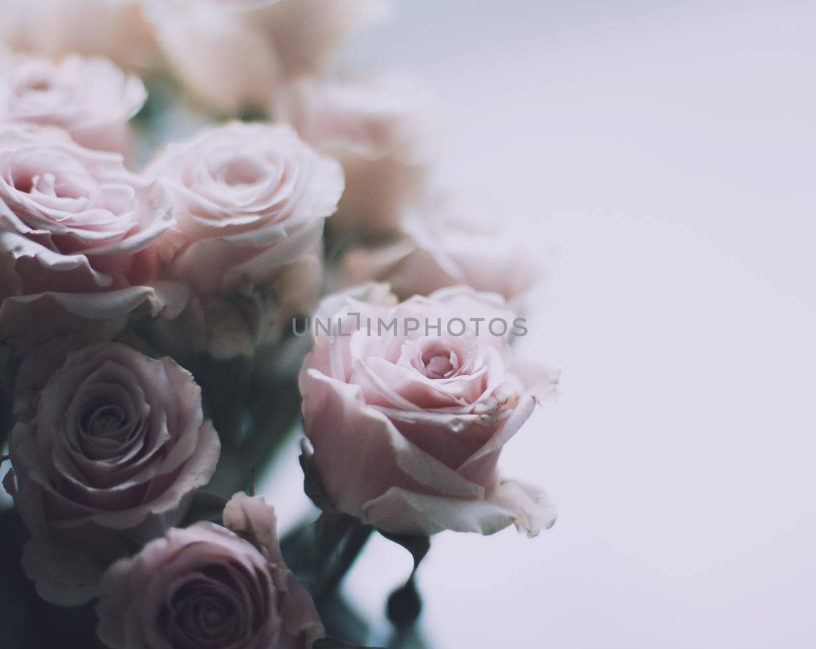 rose flower bouquet - wedding, holiday and floral garden styled concept, elegant visuals