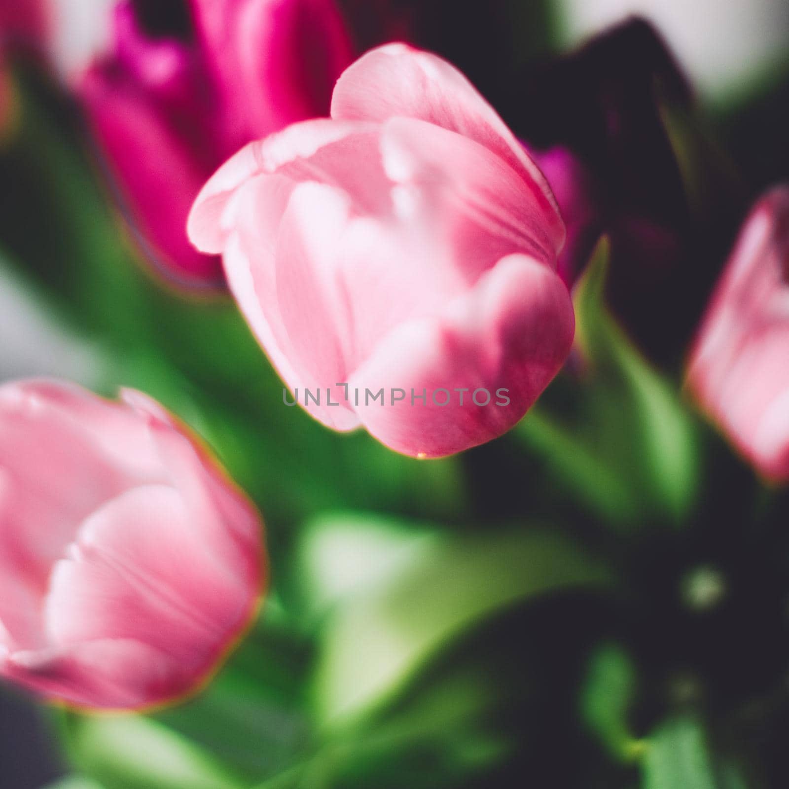 tulip bouquet - wedding, holiday and floral garden styled concept, elegant visuals