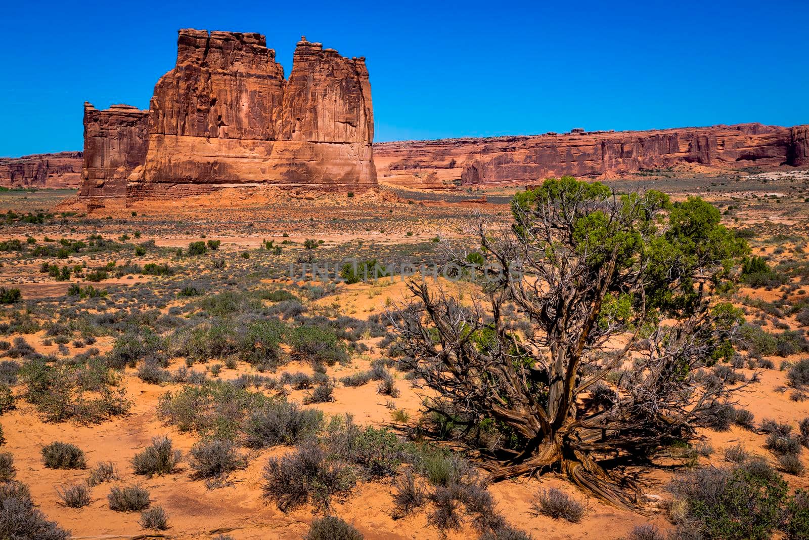The Mittens, three buttes in Monument Valley at sunrise, Arizona and Utah, United States